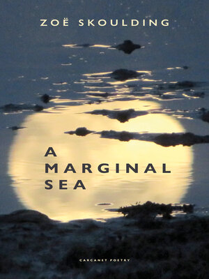 cover image of A Marginal Sea